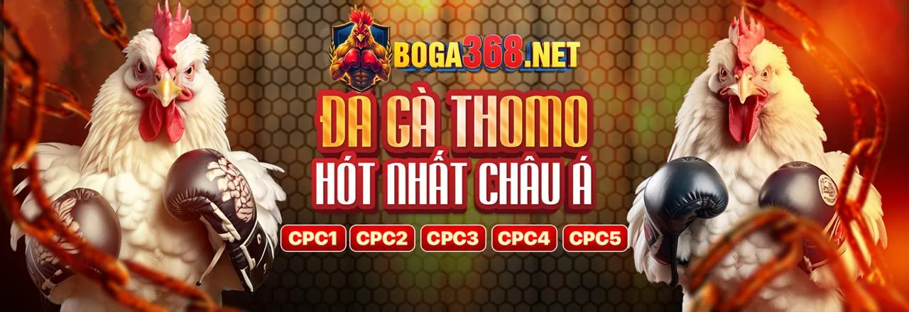Quy trình đăng ký đại lý rs 88